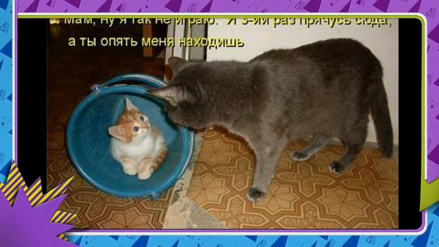 МОЯ ЛЮБИМАЯ МАМА смотреть онлайн