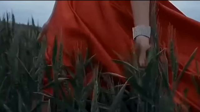 Очень красивая АРАБСКАЯ песня ! Beautiful Arabian Song. Песни о любви. Музыка для души. Тренер ЦиГу смотреть онлайн