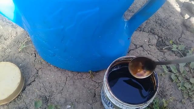 Курчавость персика. Обрабатываем деревья "трихополом" Часть 2 смотреть онлайн