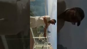 Изометрические упражнения Брюс Ли