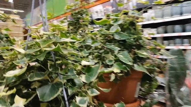 Прогулка по новому торговому центру "ОБИ" в Казани | Homekazan смотреть онлайн