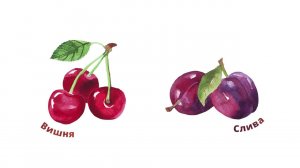 29. Фрукты и другие культурные растения. Часть 1