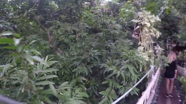 Кафе "Tree Bridge Coffee" | Водопад "Tan Rua" смотреть онлайн