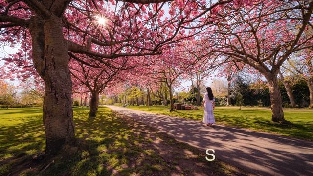 TOP 5 Free Things To Do In DUBLIN | Ireland Travel Video