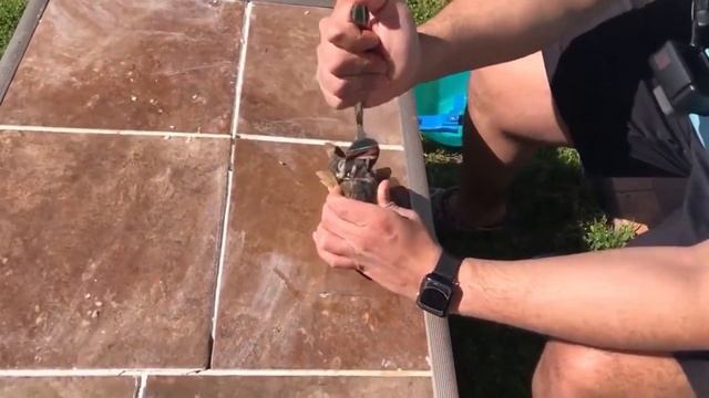 ?DON'T THROW THIS FISH BACK - Northern Pufferfish (Blowfish | Blow Toad) Catch and Cook смотреть онлайн