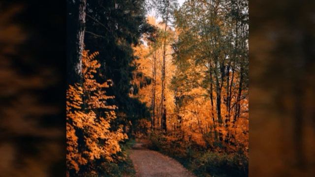 Если у вас очень сильно болит зуб.Слушайте! смотреть онлайн