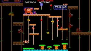 Donkey Kong Junior Remix
