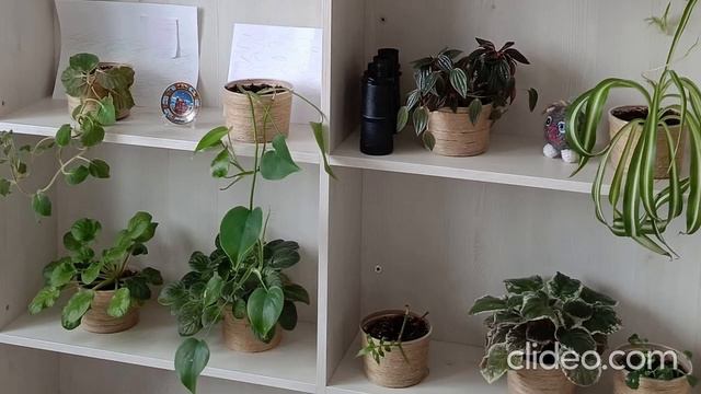 Как закрыть межкомнатный проем смотреть онлайн