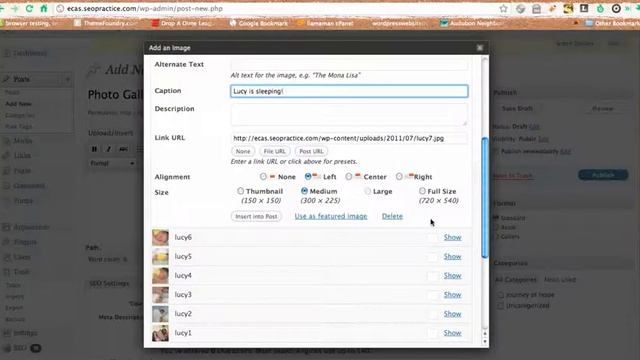 How to create an image gallery in WordPress смотреть онлайн