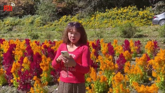 Февральский сезон сакуры уже распродан смотреть онлайн