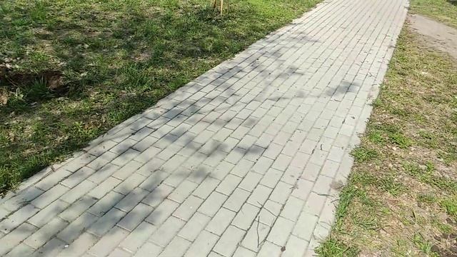 Вновь сажаем липы... смотреть онлайн