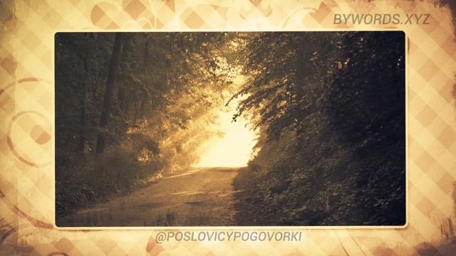 ВОЛКОВ БОЯТЬСЯ — В ЛЕС НЕ ХОДИТЬ: смысл и значение смотреть онлайн