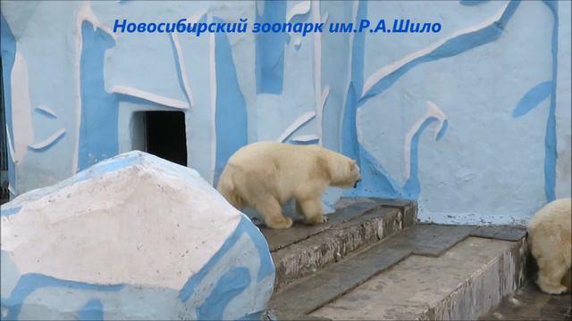 Гердочка и Каюша в ожидании завтрака 26.04.2021 смотреть онлайн