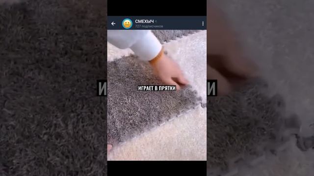 АХЫХАХЫХАХ?? #юмор #анекдоты смотреть онлайн