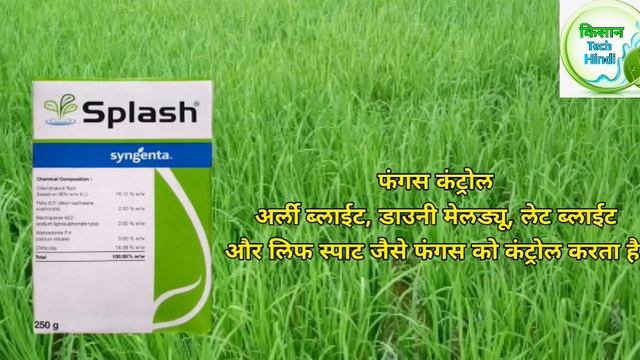 Syngenta Top 5 Branded Quality Fungicide |Syngenta Fungicide |Kavach |Amistar Top |Tilt |Folio Gold