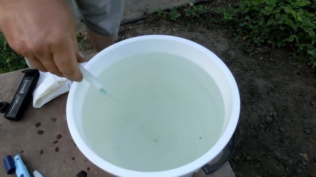 Влияние сульфата аммония при подкислении голубики. смотреть онлайн