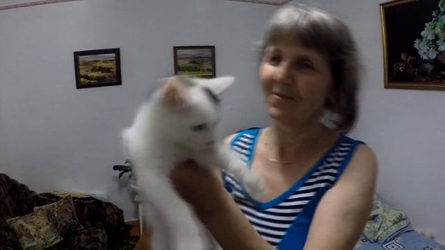 Как назвать кота? смотреть онлайн