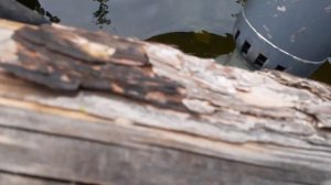 До работка насоса камма-5 ,и полив сада
