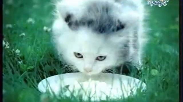 SavushkinProduct смотреть онлайн