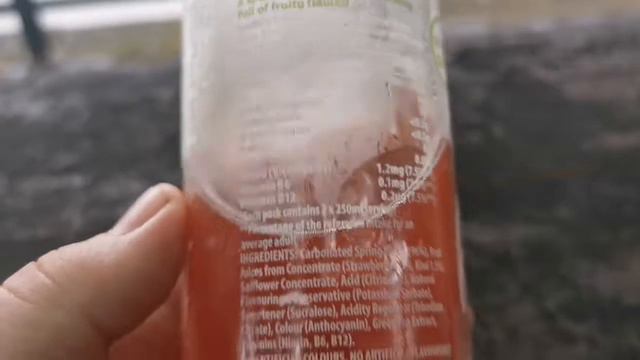 Rubicon Spring Drink | Strawberry & Kiwi Flavour смотреть онлайн