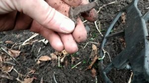 Золото Пруссии!!! От такой находки аж руки за дрожали!!! Коп в Калининграде!!!