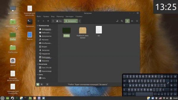 Как в Linux установить неограниченное количество браузеров Mozilla Firefox.