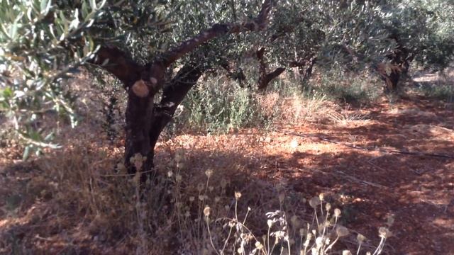 Крит. Малеме. 2015 - 5 часть смотреть онлайн