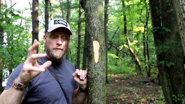 Survival Navigation: Find Your Way Out of the Woods смотреть онлайн