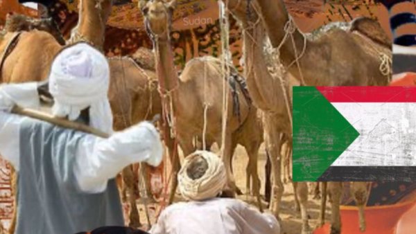 حافظ عبد الرحمن - حتى نلتقى Sudanese music 🌙✨