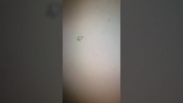 Я покожу как скачать песню смотреть онлайн