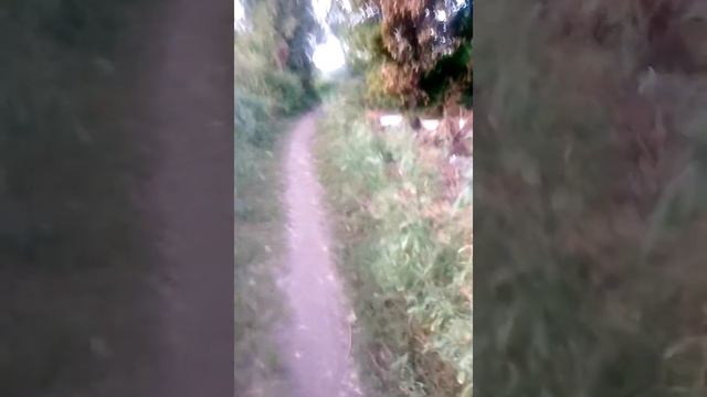 Жихарева улучшает экалогию смотреть онлайн