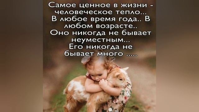 Стоит жить, слушая такие цытаты! смотреть онлайн