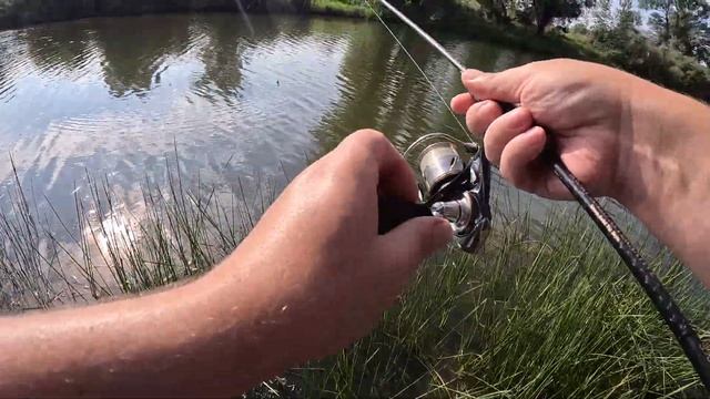 Рыбалка в пойме Волгоградской области смотреть онлайн