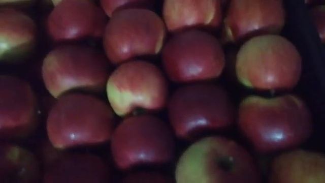 красивые красные яблоки смотреть онлайн
