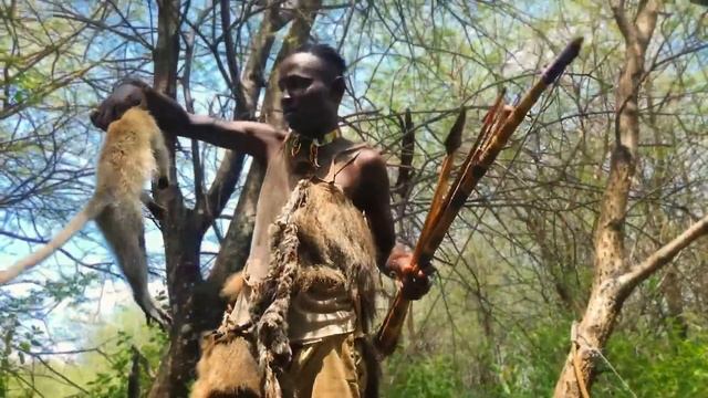 Hadzabe Tribe Made It Again With A Lot Of Monkeys... смотреть онлайн