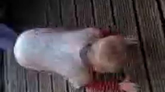 Harrison James Dancing ! смотреть онлайн