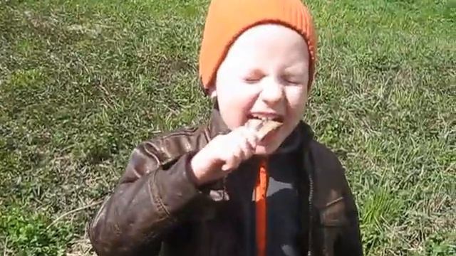 Поисковый магнит.Река Плюсса. смотреть онлайн