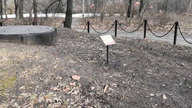 Фестиваль Масленица. ПКиО Сокольники. (29.02.2020) смотреть онлайн