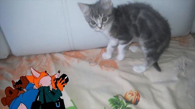 Барс играет!!! 1 часть. Котёнок. смотреть онлайн