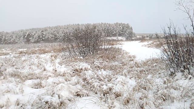 Родовое поместье Ве Лес - 10 поездка в ноябре 2016 смотреть онлайн