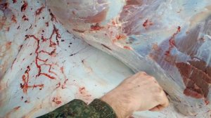 Нож Рысь сталь Элмакс разделка быка  - okskie-nozhi.ru