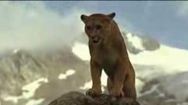 Законы природы смотреть онлайн