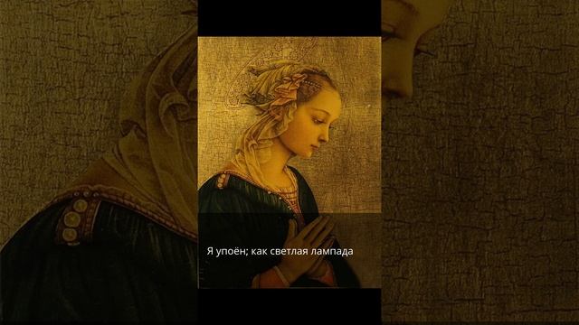 Моя Мадонна смотреть онлайн