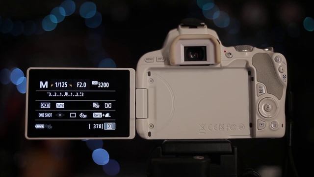 Маленькая, но крутая фишка CANON 200D или ещё одна фича, которой нет в 80D.