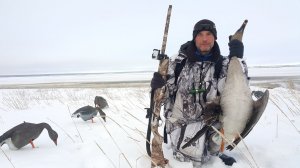 Охота на гусей 2018