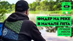 Ловля ЛЕЩА в начале ЛЕТА на ФИДЕР. Первая РЫБАЛКА 2024 на новом месте
