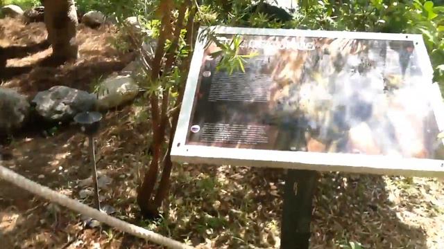 DinoPark извините дорогие подпищики что такое кароткае видео смотреть онлайн