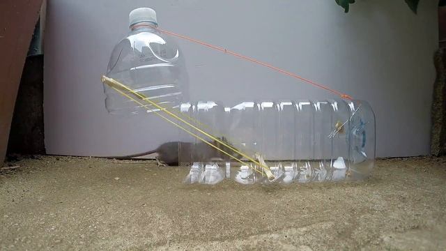 Ловля мышей на бутылочку смотреть онлайн