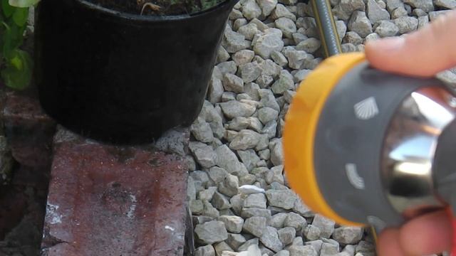 Hozelock Multi Spray Pro Gun Review смотреть онлайн