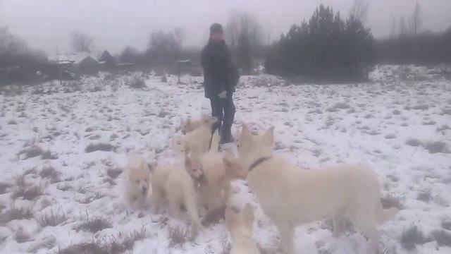 Прогулка мама и дети смотреть онлайн